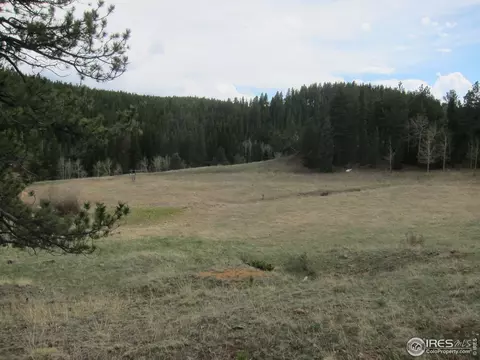 515 Bigbee High Rd, Ward, CO 80481 photo 1
