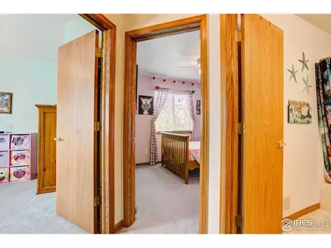 302 3rd St, Severance, CO 80546 photo 16