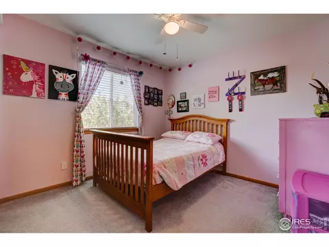 302 3rd St, Severance, CO 80546 photo 17
