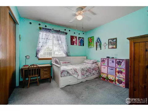302 3rd St, Severance, CO 80546 photo 18