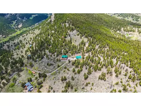 5 Pinecrest Cir, Bailey, CO 80421 photo 37