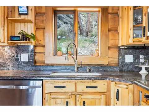 5 Pinecrest Cir, Bailey, CO 80421 photo 10