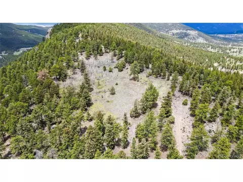 5 Pinecrest Cir, Bailey, CO 80421 photo 35