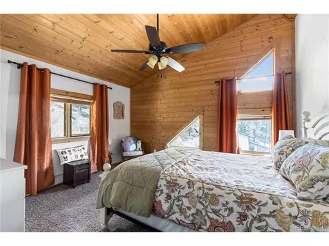 5 Pinecrest Cir, Bailey, CO 80421 photo 28