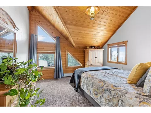 5 Pinecrest Cir, Bailey, CO 80421 photo 27
