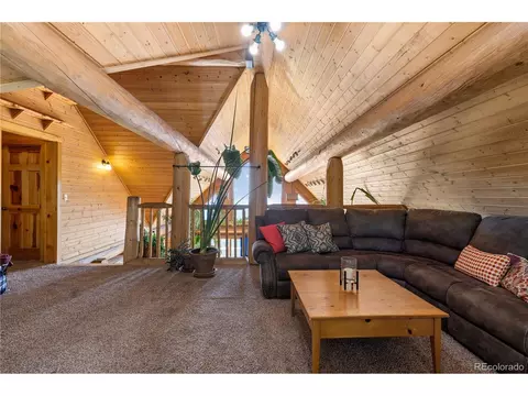 5 Pinecrest Cir, Bailey, CO 80421 photo 24