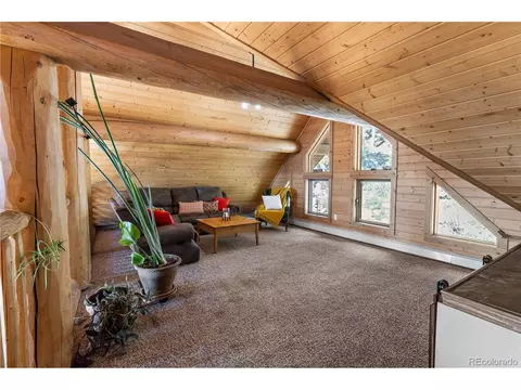 5 Pinecrest Cir, Bailey, CO 80421 photo 25