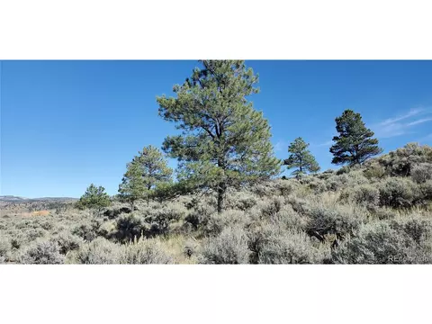 7668 Froom Rd, Fort Garland, CO 81133