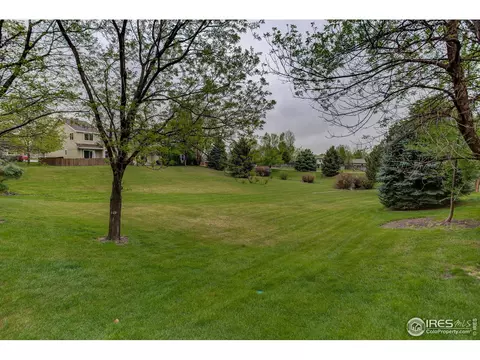803 2nd St, Windsor, CO 80550 photo 37