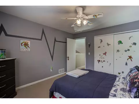 803 2nd St, Windsor, CO 80550 photo 27