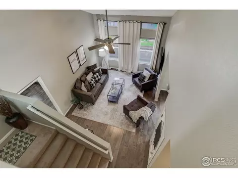 803 2nd St, Windsor, CO 80550 photo 20