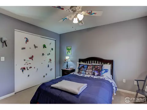 803 2nd St, Windsor, CO 80550 photo 26