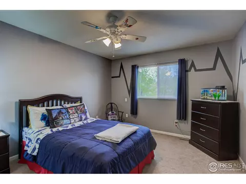 803 2nd St, Windsor, CO 80550 photo 25