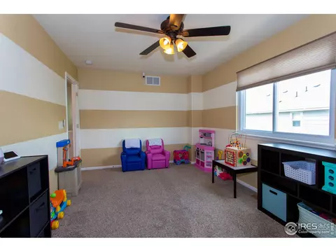 11356 Daisy Ct, Firestone, CO 80504 photo 19