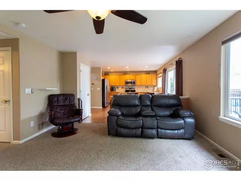 11356 Daisy Ct, Firestone, CO 80504 photo 10