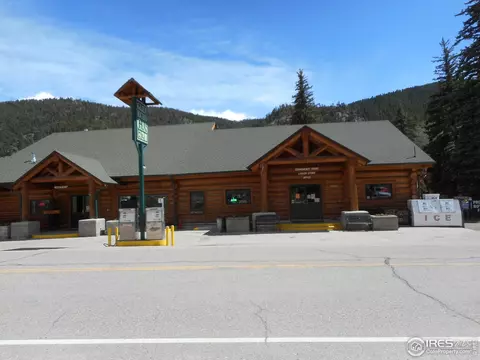 509 Rustic Rd, Bellvue, CO 80512 photo 40