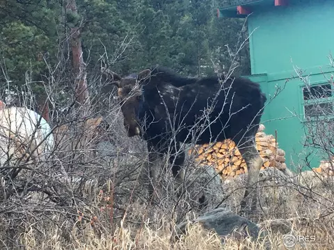 509 Rustic Rd, Bellvue, CO 80512 photo 39