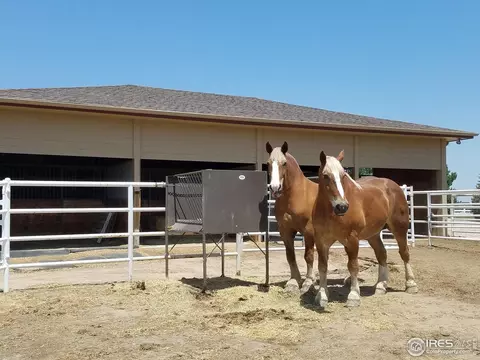 39659 Rangeview Dr, Severance, CO 80610 photo 32