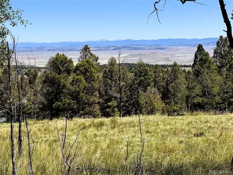 110 Kaufman Ct, Hartsel, CO 80449