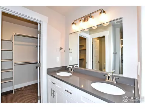 5375 Long Dr, Timnath, CO 80547 photo 20