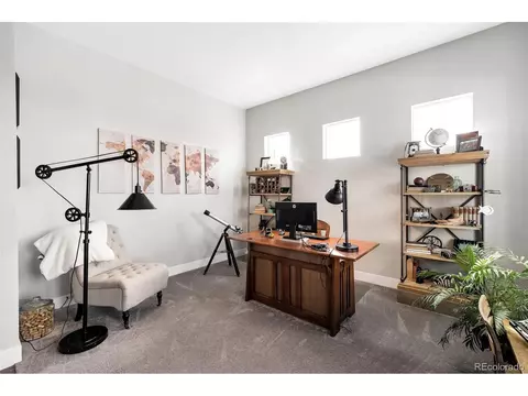 4804 E 141st Dr, Thornton, CO 80602 photo 19