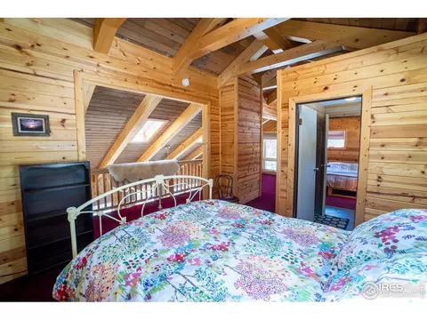 350 Crestridge Rd, Ward, CO 80481 photo 23