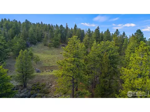350 Crestridge Rd, Ward, CO 80481 photo 39