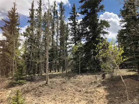 1233 Teton Trl, Como, CO 80432 photo 11