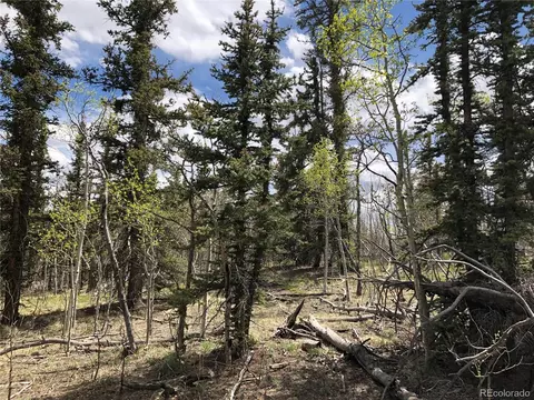 1233 Teton Trl, Como, CO 80432 photo 4