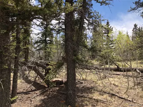 1233 Teton Trl, Como, CO 80432 photo 8