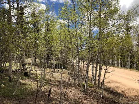 1233 Teton Trl, Como, CO 80432 photo 5