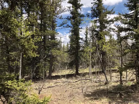 1233 Teton Trl, Como, CO 80432 photo 3