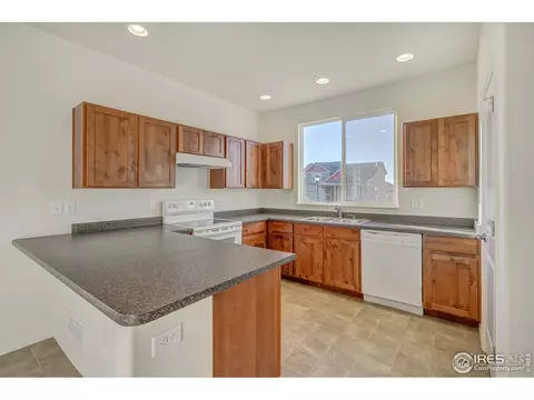 2140 Crop Row Dr, Windsor, CO 80550 photo 5