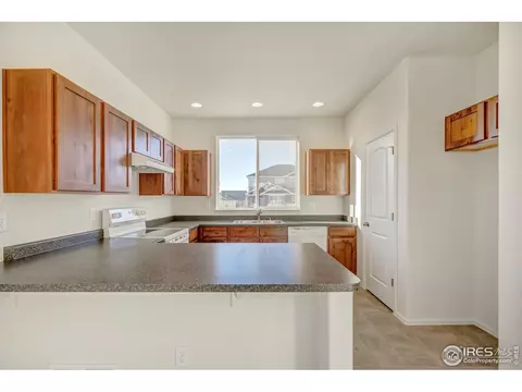 2140 Crop Row Dr, Windsor, CO 80550 photo 4