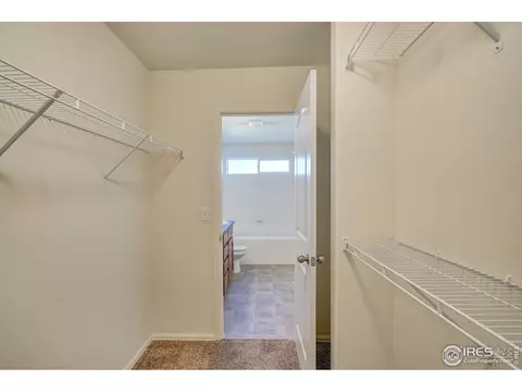 2140 Crop Row Dr, Windsor, CO 80550 photo 20