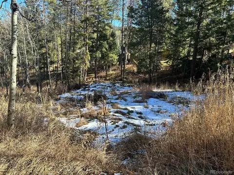 10881 Kitty Dr, Conifer, CO 80433 photo 14
