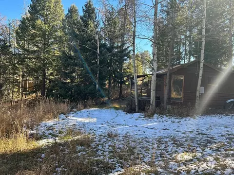 10881 Kitty Dr, Conifer, CO 80433 photo 17