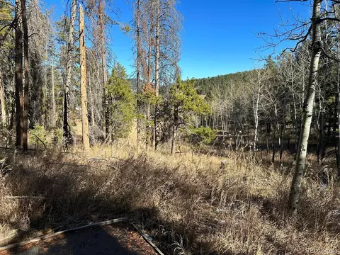 10881 Kitty Dr, Conifer, CO 80433 photo 18