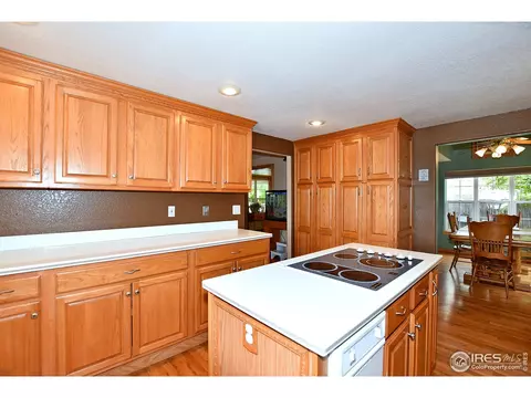 106 E Welch Ave, Berthoud, CO 80513 photo 16
