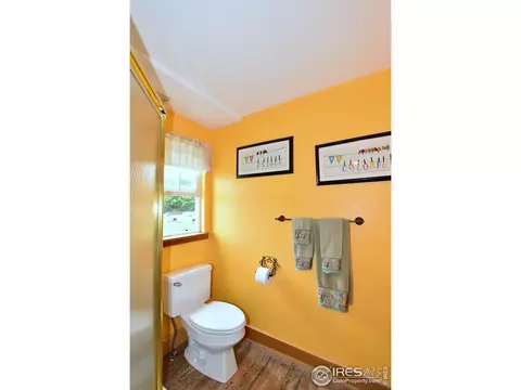 106 E Welch Ave, Berthoud, CO 80513 photo 21