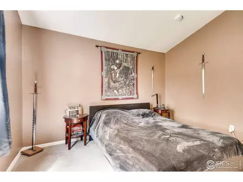 5424 Fox Run Blvd, Frederick, CO 80504 photo 16