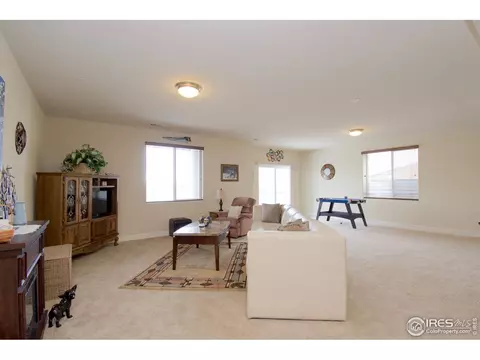 3361 E 143rd Dr, Thornton, CO 80602 photo 28