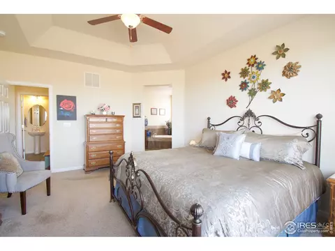 3361 E 143rd Dr, Thornton, CO 80602 photo 17