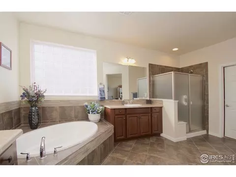 3361 E 143rd Dr, Thornton, CO 80602 photo 19