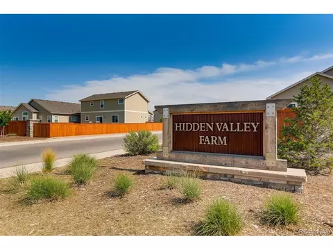 966 Cascade Falls St, Severance, CO 80550 photo 18