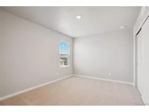 966 Cascade Falls St, Severance, CO 80550 photo 12