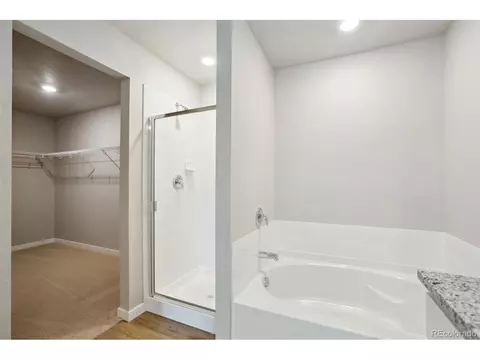 966 Cascade Falls St, Severance, CO 80550 photo 11