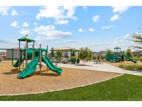 966 Cascade Falls St, Severance, CO 80550 photo 22