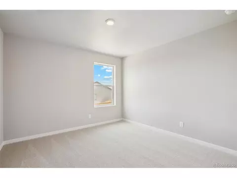 966 Cascade Falls St, Severance, CO 80550 photo 14