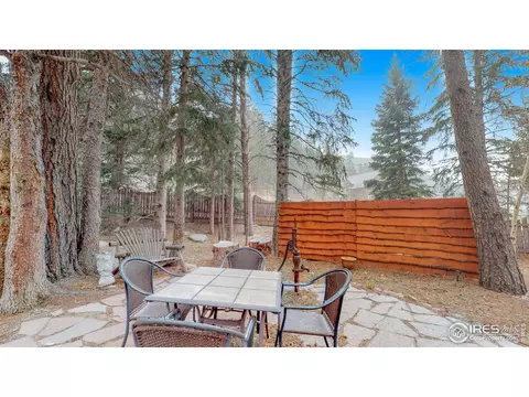 2927 Riverside Dr, Lyons, CO 80540 photo 19